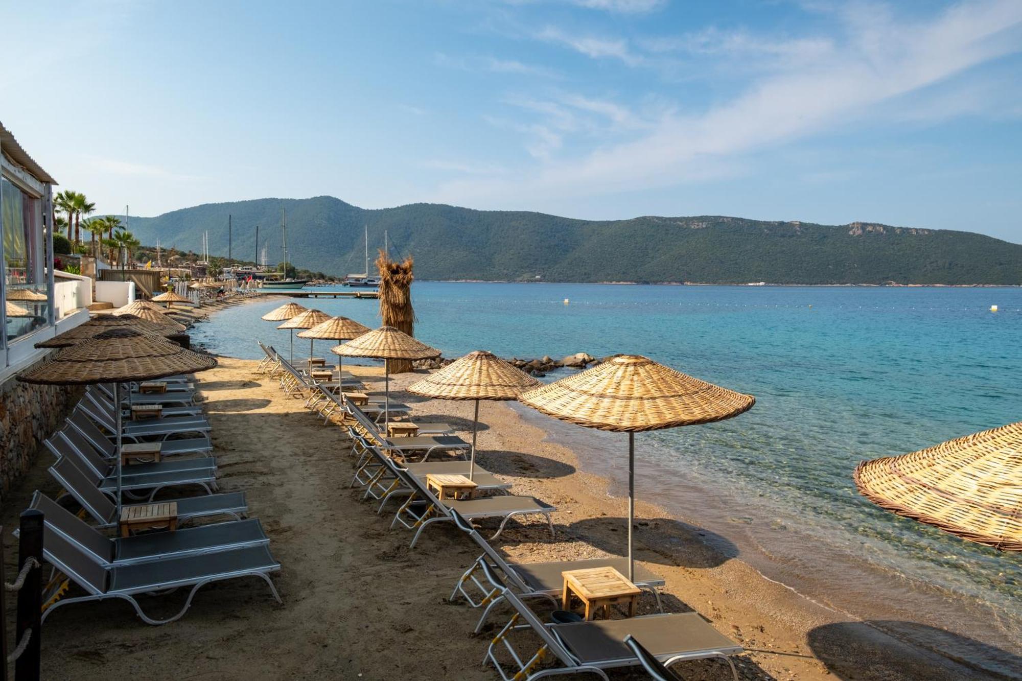 Tui Magic Life - Adults Only (16+) אתר נופש 5*